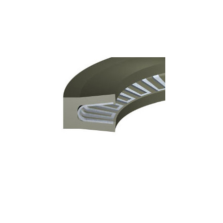 Junta FS-11 PTFE estándar 30,40x